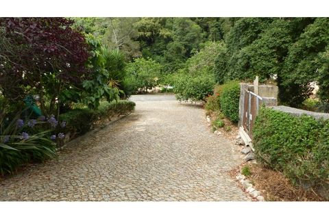 Helårsgrund i Sintra, Lisbon, Sintra - € 350.000 | Ref: CP-1017M - foto 7