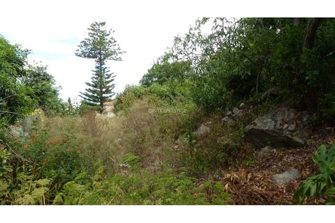 Helårsgrund i Sintra, Lisbon, Sintra - € 350.000 | Ref: CP-1017M - foto 8