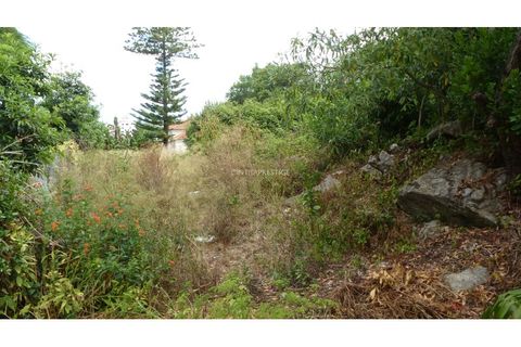 Helårsgrund i Sintra, Lisbon, Sintra - € 350.000 | Ref: CP-1017M - foto 9
