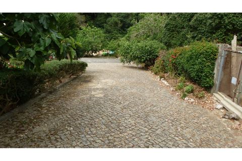 Helårsgrund i Sintra, Lisbon, Sintra - € 350.000 | Ref: CP-1017M - foto 10