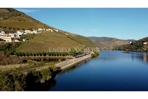 Helårsgrund i Lamego, Viseu, Lamego - € 945.000 | Ref: W-030U8R - foto 9