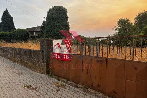 Helårsgrund i Estarreja, Aveiro, Estarreja - € 97.500 | Ref: AVV-2455-RO-0725 - foto 13