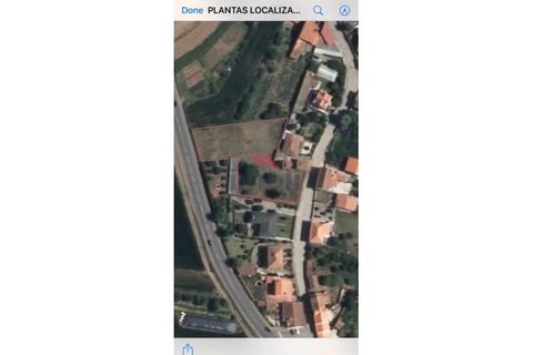 Helårsgrund i Estarreja, Aveiro, Estarreja - € 97.500 | Ref: AVV-2455-RO-0725 - foto 11