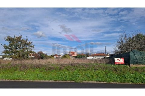 Helårsgrund i Estarreja, Aveiro, Estarreja - € 97.500 | Ref: AVV-2455-RO-0725 - foto 1
