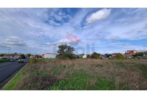 Helårsgrund i Estarreja, Aveiro, Estarreja - € 97.500 | Ref: AVV-2455-RO-0725 - foto 2