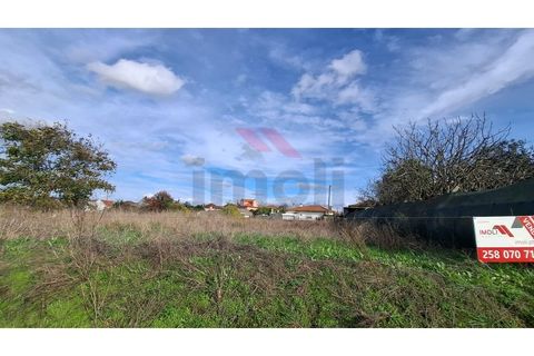 Helårsgrund i Estarreja, Aveiro, Estarreja - € 97.500 | Ref: AVV-2455-RO-0725 - foto 3