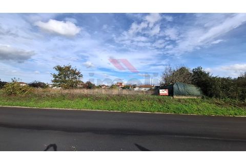 Helårsgrund i Estarreja, Aveiro, Estarreja - € 97.500 | Ref: AVV-2455-RO-0725 - foto 4