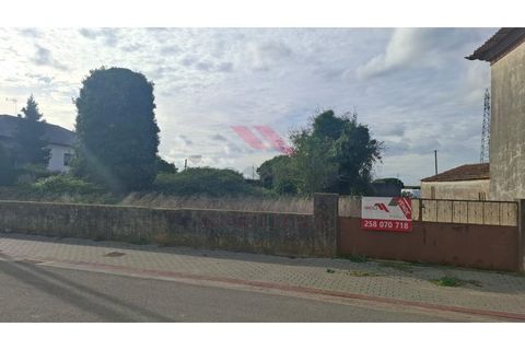 Helårsgrund i Estarreja, Aveiro, Estarreja - € 97.500 | Ref: AVV-2455-RO-0725 - foto 6