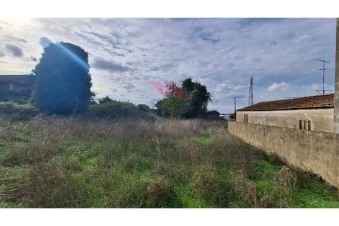 Helårsgrund i Estarreja, Aveiro, Estarreja - € 97.500 | Ref: AVV-2455-RO-0725 - foto 7