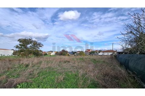 Helårsgrund i Estarreja, Aveiro, Estarreja - € 97.500 | Ref: AVV-2455-RO-0725 - foto 8