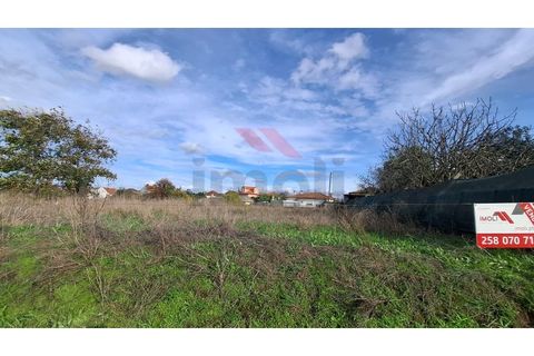 Helårsgrund i Estarreja, Aveiro, Estarreja - € 97.500 | Ref: AVV-2455-RO-0725 - foto 9