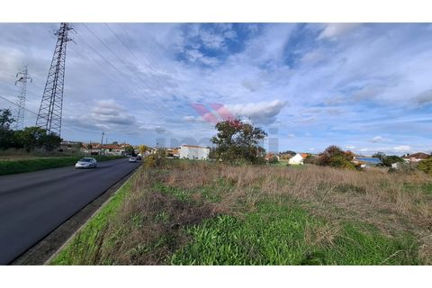 Helårsgrund i Estarreja, Aveiro, Estarreja - € 97.500 | Ref: AVV-2455-RO-0725 - foto 10