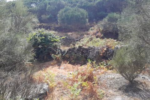 Helårsgrund i Arcos de Valdevez, Viana do Castelo, Arcos de Valdevez - € 15.000 | Ref: UNU.I.145.23362 - foto 13