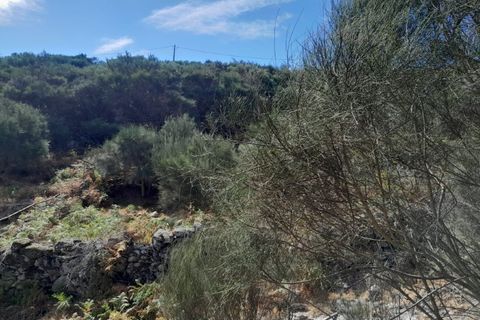 Helårsgrund i Arcos de Valdevez, Viana do Castelo, Arcos de Valdevez - € 15.000 | Ref: UNU.I.145.23362 - foto 14