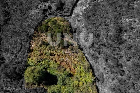 Helårsgrund i Arcos de Valdevez, Viana do Castelo, Arcos de Valdevez - € 15.000 | Ref: UNU.I.145.23362 - foto 4