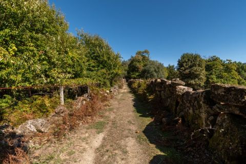 Helårsgrund i Arcos de Valdevez, Viana do Castelo, Arcos de Valdevez - € 67.000 | Ref: UNU.I.148.23362 - foto 5