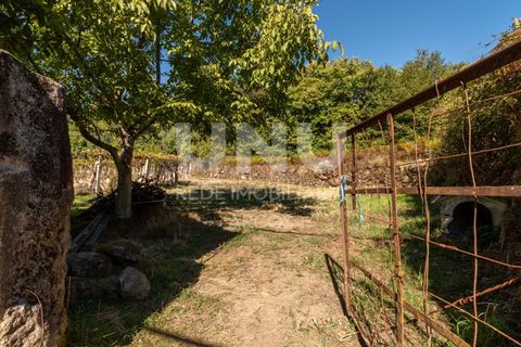 Helårsgrund i Arcos de Valdevez, Viana do Castelo, Arcos de Valdevez - € 67.000 | Ref: UNU.I.148.23362 - foto 6