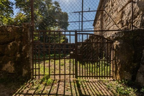 Helårsgrund i Arcos de Valdevez, Viana do Castelo, Arcos de Valdevez - € 67.000 | Ref: UNU.I.148.23362 - foto 9