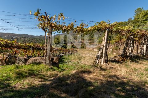 Helårsgrund i Arcos de Valdevez, Viana do Castelo, Arcos de Valdevez - € 67.000 | Ref: UNU.I.148.23362 - foto 14
