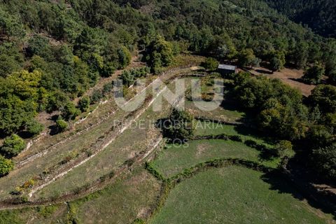 Helårsgrund i Arcos de Valdevez, Viana do Castelo, Arcos de Valdevez - € 67.000 | Ref: UNU.I.148.23362 - foto 19