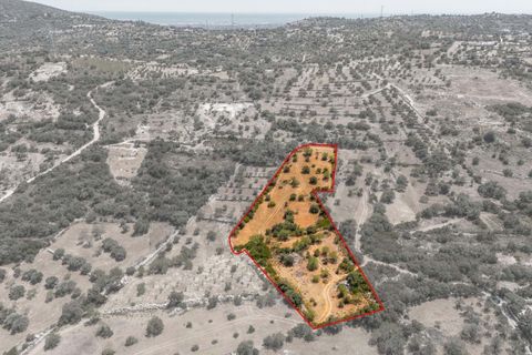 Terra a Conceicao e Estoi, Faro, Conceicao e Estoi - € 35.000 | Ref: KWPT-019592 - foto 2