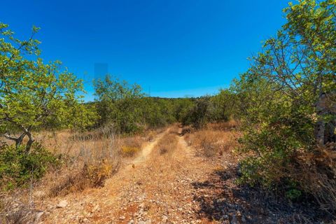 Terra a Conceicao e Estoi, Faro, Conceicao e Estoi - € 35.000 | Ref: KWPT-019592 - foto 6