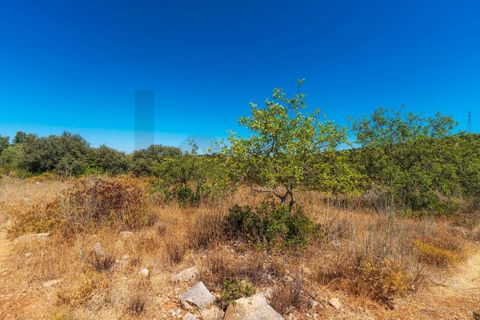 Terra a Conceicao e Estoi, Faro, Conceicao e Estoi - € 35.000 | Ref: KWPT-019592 - foto 7