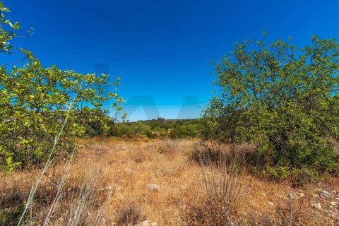 Terra a Conceicao e Estoi, Faro, Conceicao e Estoi - € 35.000 | Ref: KWPT-019592 - foto 8