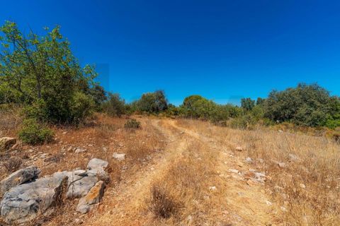 Terra a Conceicao e Estoi, Faro, Conceicao e Estoi - € 35.000 | Ref: KWPT-019592 - foto 9