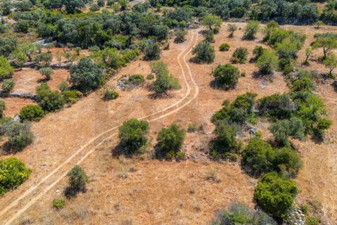 Terra a Conceicao e Estoi, Faro, Conceicao e Estoi - € 35.000 | Ref: KWPT-019592 - foto 10