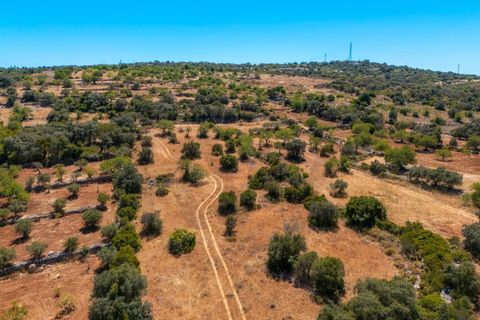 Terra a Conceicao e Estoi, Faro, Conceicao e Estoi - € 35.000 | Ref: KWPT-019592 - foto 11