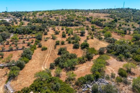 Terra a Conceicao e Estoi, Faro, Conceicao e Estoi - € 35.000 | Ref: KWPT-019592 - foto 12