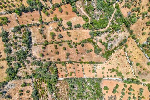Terra a Conceicao e Estoi, Faro, Conceicao e Estoi - € 35.000 | Ref: KWPT-019592 - foto 13