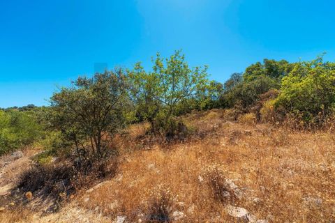 Terra a Conceicao e Estoi, Faro, Conceicao e Estoi - € 35.000 | Ref: KWPT-019592 - foto 15