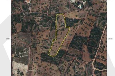 Terra a Conceicao e Estoi, Faro, Conceicao e Estoi - € 35.000 | Ref: KWPT-019592 - foto 16