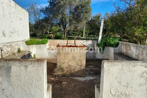Villa i Faro, Faro, Faro - € 325.000 | Ref: Sort19190 - foto 19