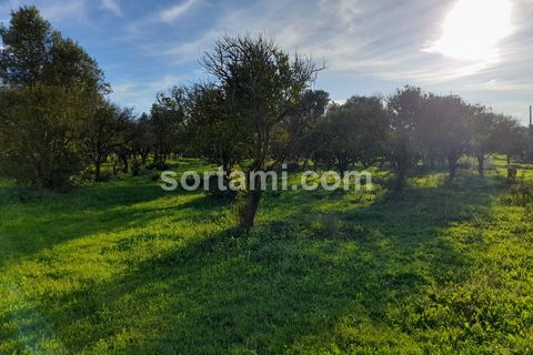 Villa i Faro, Faro, Faro - € 325.000 | Ref: Sort19190 - foto 21