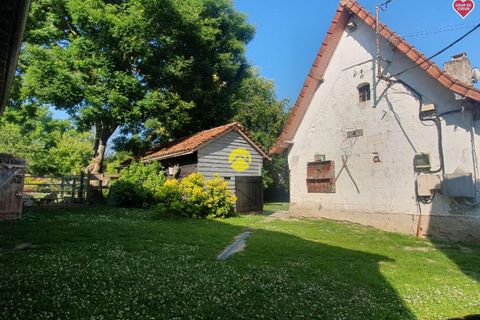 Landejendom i Guisy, Pas-de-Calais, Guisy - € 378.000 | Ref: 69MS110093 - foto 4