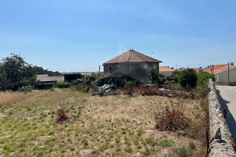 Villa i Terroso, Porto, Terroso - € 625.000 | Ref: 039250122 - foto 8