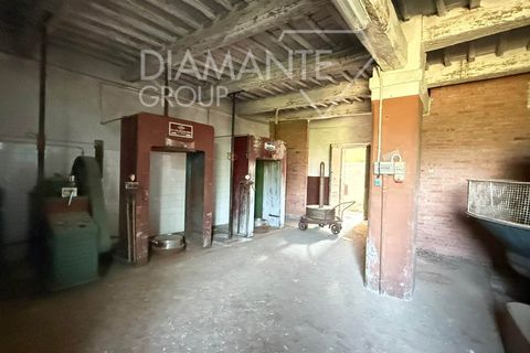 Bungalou a Paciano, Perugia, Paciano - € 110.000 | Ref: PA8A22 - foto 5