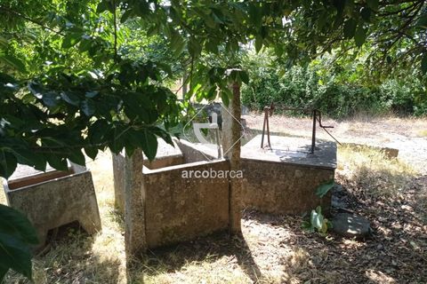 Farm i Valenca, Viana do Castelo, Valenca - € 210.000 | Ref: AV6449 - foto 12