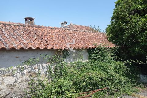 Farm i Valenca, Viana do Castelo, Valenca - € 210.000 | Ref: AV6449 - foto 27