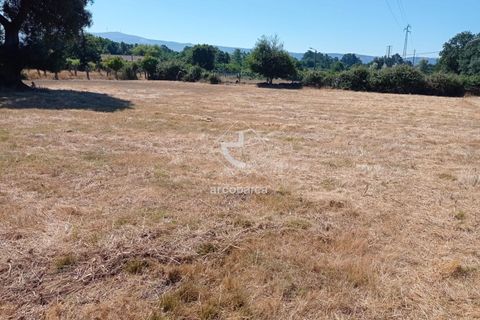 Farm i Valenca, Viana do Castelo, Valenca - € 210.000 | Ref: AV6449 - foto 29