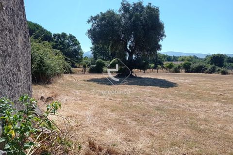 Farm i Valenca, Viana do Castelo, Valenca - € 210.000 | Ref: AV6449 - foto 30