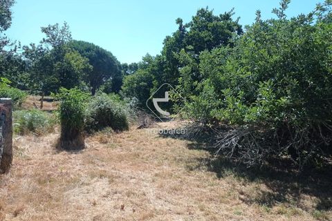 Farm i Valenca, Viana do Castelo, Valenca - € 210.000 | Ref: AV6449 - foto 32