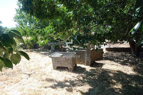 Farm i Valenca, Viana do Castelo, Valenca - € 210.000 | Ref: AV6449 - foto 33