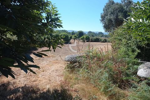Farm i Valenca, Viana do Castelo, Valenca - € 210.000 | Ref: AV6449 - foto 34