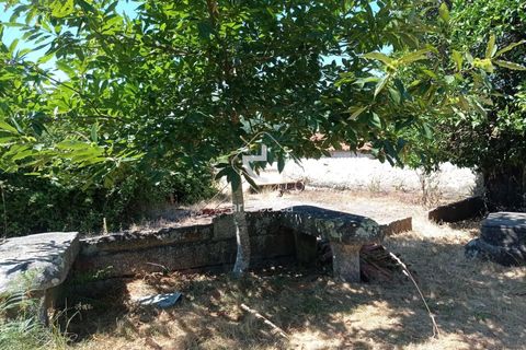 Farm i Valenca, Viana do Castelo, Valenca - € 210.000 | Ref: AV6449 - foto 35