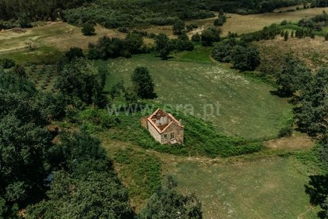 Farm i Seia, Guarda, Seia - € 65.000 | Ref: 382250076 - foto 4