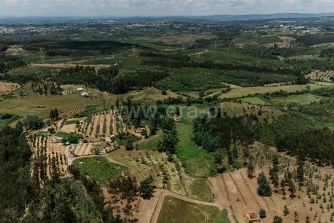 Farm i Seia, Guarda, Seia - € 65.000 | Ref: 382250076 - foto 5